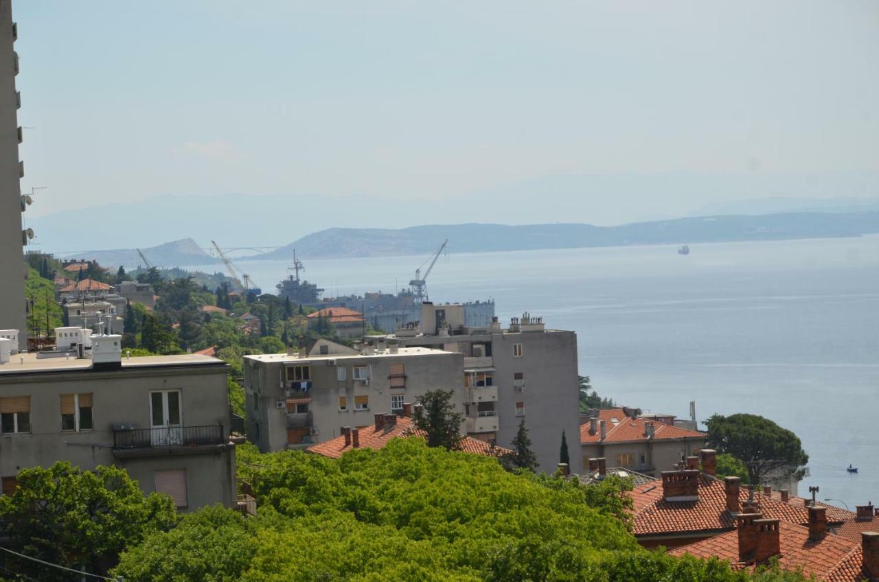Apartment Babic Rijeka Buitenkant foto